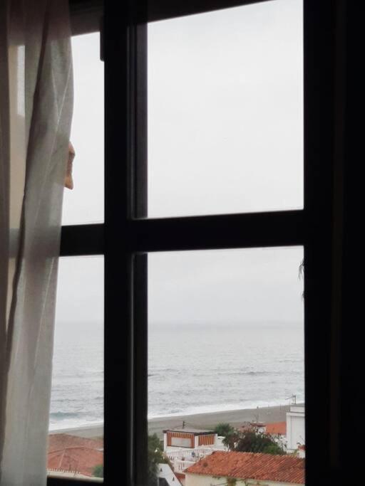 At Jardines Del Mar